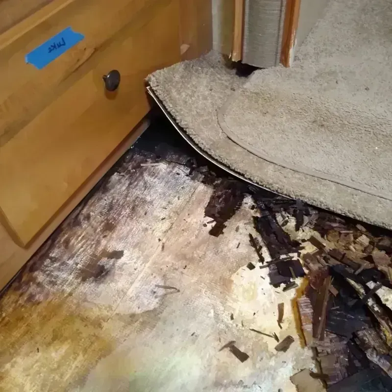 Wood Floor Water Damage in Ocoee, FL